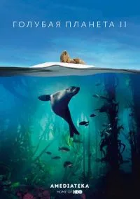 Голубая планета 2 (Сериал 2017) смотреть онлайн - LordFilm